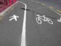 Govt Concern About Cycling Accidents