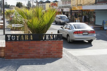 TOTARA AVE: The suburb's successful foray into Shared Space