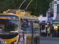 Fewer using Wellington buses after big fare rise