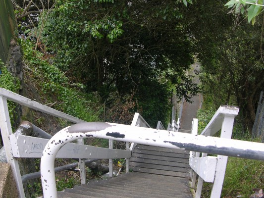 Jacob's Ladder is a steep walkway from St Mary's Bay to a small reserve