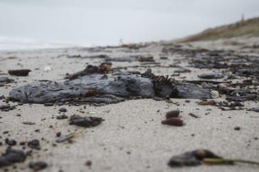 Oil on the beach | Gemz Photography